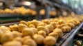 potatoes in the factory industry. selective focus. Royalty Free Stock Photo