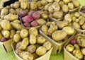 Potatoes at Farmers Market Royalty Free Stock Photo