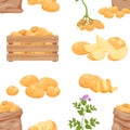 Potatoes farming products seamless pattern vector flat illustration. Seasonal potato harvest