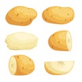 Potatoes in flat cartoon style set. Whole, cut, peeled and sliced potato. Vector illustrations