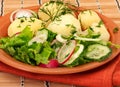 Potatoes with frash salad Royalty Free Stock Photo