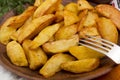 Potatoes fried in lard Royalty Free Stock Photo