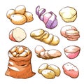 Potatoes hand drawn set, uncooked farm food