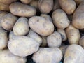 Potatoes are an important economic crop of the world. Originally a native plant of the Americas