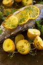 Potatoes And Lemon On Trout Fillet Royalty Free Stock Photo