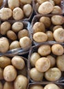 Potatoes market place Royalty Free Stock Photo