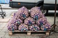 Potatoes in mesh bags on pallets for sale at the farmers\' market. Royalty Free Stock Photo