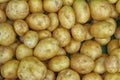 Potatoes Royalty Free Stock Photo