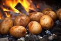potatoes nestled in the coals of a roaring fire