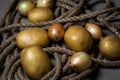 Potatoes and onions. Young potatoes and onions lie on a rope and sackcloth.