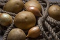 Potatoes and onions. Young potatoes and onions lie on a rope and sackcloth.