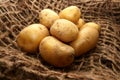 Potatoes over jute