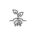 Potatoes plant line icon