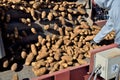 Potatoes: potatoes move off the conveyor to where they get sorted