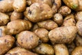 Potatoes russet or baking in bulk Royalty Free Stock Photo