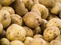 Potatoes for selling at vegetable market. Fresh organic potato stand out among many large background potatos in the