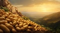 Potatoes Field On Sunset A High Detailed Terragen Composition