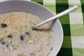 Potatoes soup with mushrooms in white plate