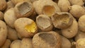 Potatoes and potato spoiled and spoilage warehouse mouse and mice bite, pest of stored vegetable food potato, frequent