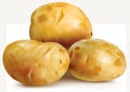 Potatoes tuber on a white background