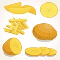 Potatoes vector illustration