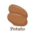 Potatoes vector illustration. Isolated on white background. Royalty Free Stock Photo