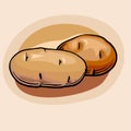 Potatoes. Vector. Potato tubers in a cartoon style. Two different varieties. Royalty Free Stock Photo