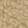 Potatoes, vector, seemless patterv, fresh, young, unpealed potatoes Royalty Free Stock Photo