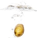 Potatoes in water isolated on white background Royalty Free Stock Photo