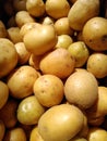 Potatoes, White Creamer Potato, Local Farmers Market Royalty Free Stock Photo