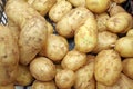 Potatoes Royalty Free Stock Photo