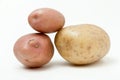 Potatos Royalty Free Stock Photo