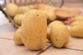 Potatos agricolture vegetables Royalty Free Stock Photo