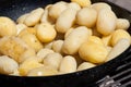 Potatos Royalty Free Stock Photo