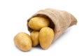 Potatos in sack bag isolated Royalty Free Stock Photo