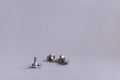 Potentiometers stand on the gray background. Many Potentiometers. Macro close up of electronic component potentiometer