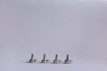 Potentiometers stand on the gray background. Many Potentiometers. Macro close up of electronic component potentiometer