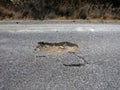 Pothole in Bitumen on Country Road in Australia Royalty Free Stock Photo