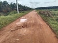 Pothole road in the middle of an oil palm plantation