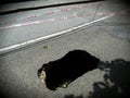 Pothole / Sinking hole