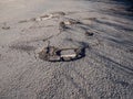 Pothole in the street in a city Royalty Free Stock Photo