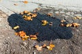 Pothole temporary repaired with fresh asphalt patch