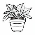 Pothos Coloring Page For Kids: Haworthia Fasciata Plant In Cartoon Style