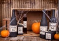 Potion bottles with pumpkins Royalty Free Stock Photo