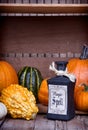 Potion bottles with pumpkins Royalty Free Stock Photo