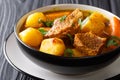 Potjiekos, is a traditional stew recipe from South Africa and Namibia closeup in a bowl. horizontal