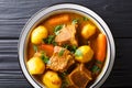 Potjiekos, is a traditional stew recipe from South Africa and Namibia closeup in a bowl. horizontal top view