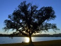 Potomac Park, Washington DC.