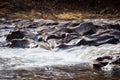 Potomac River flowing through the rocks in West Virginia Royalty Free Stock Photo