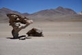 The Rock Tree in The Siloli Desert with mountains behind. Potosi, Bolivia.